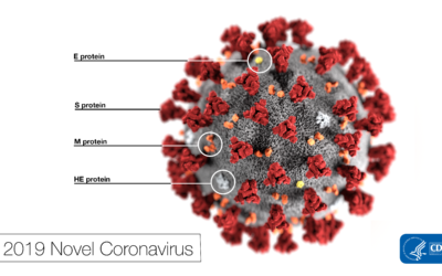 image of the virus that causes COVID-19